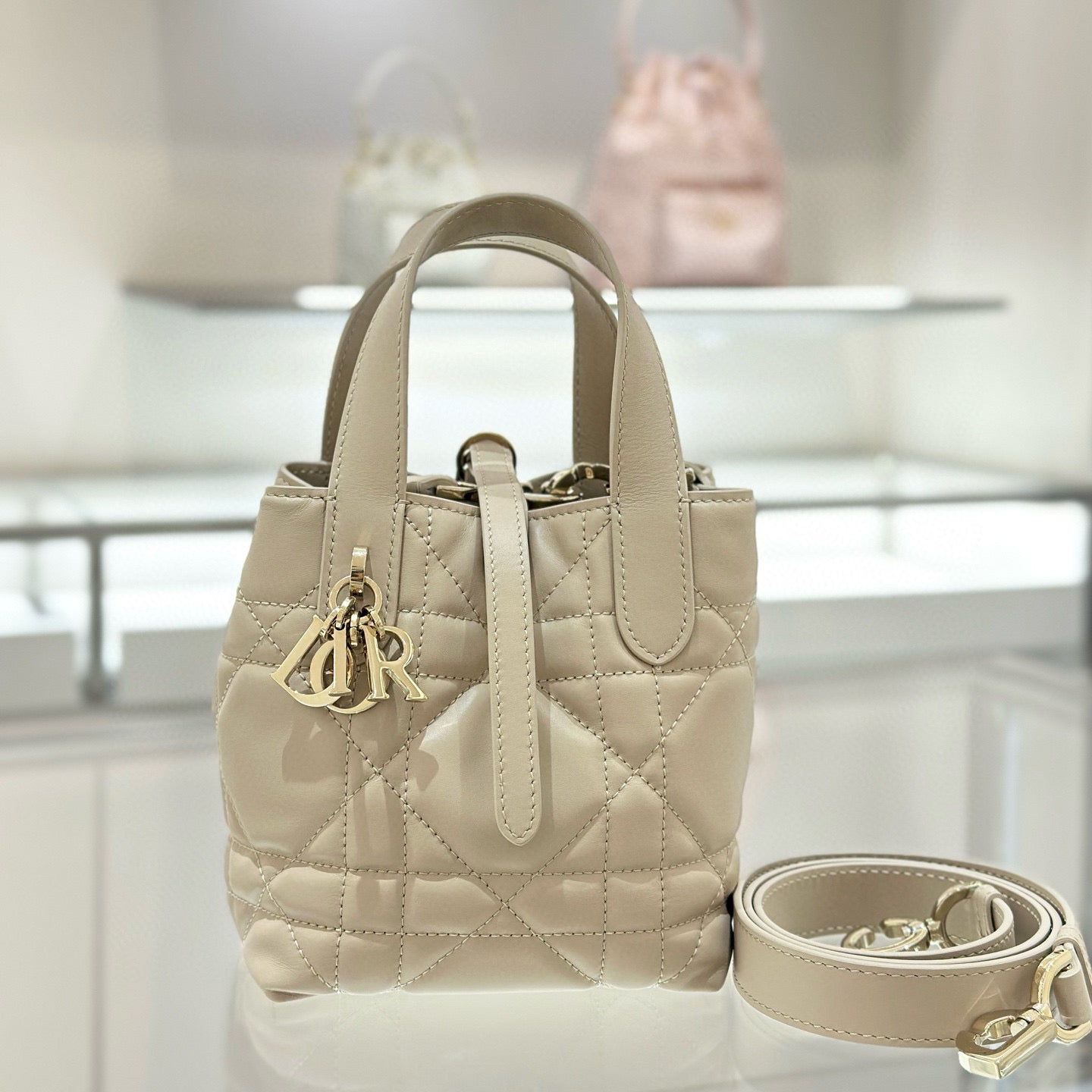 Dior Toujours Mini Bag