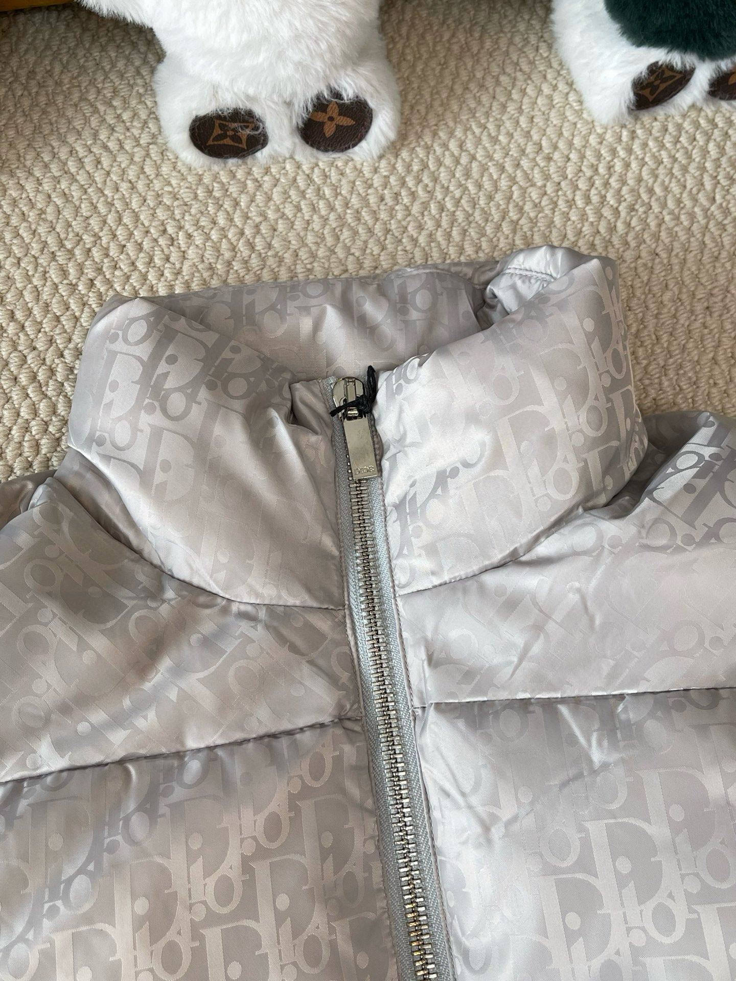 Dior Down Jacket