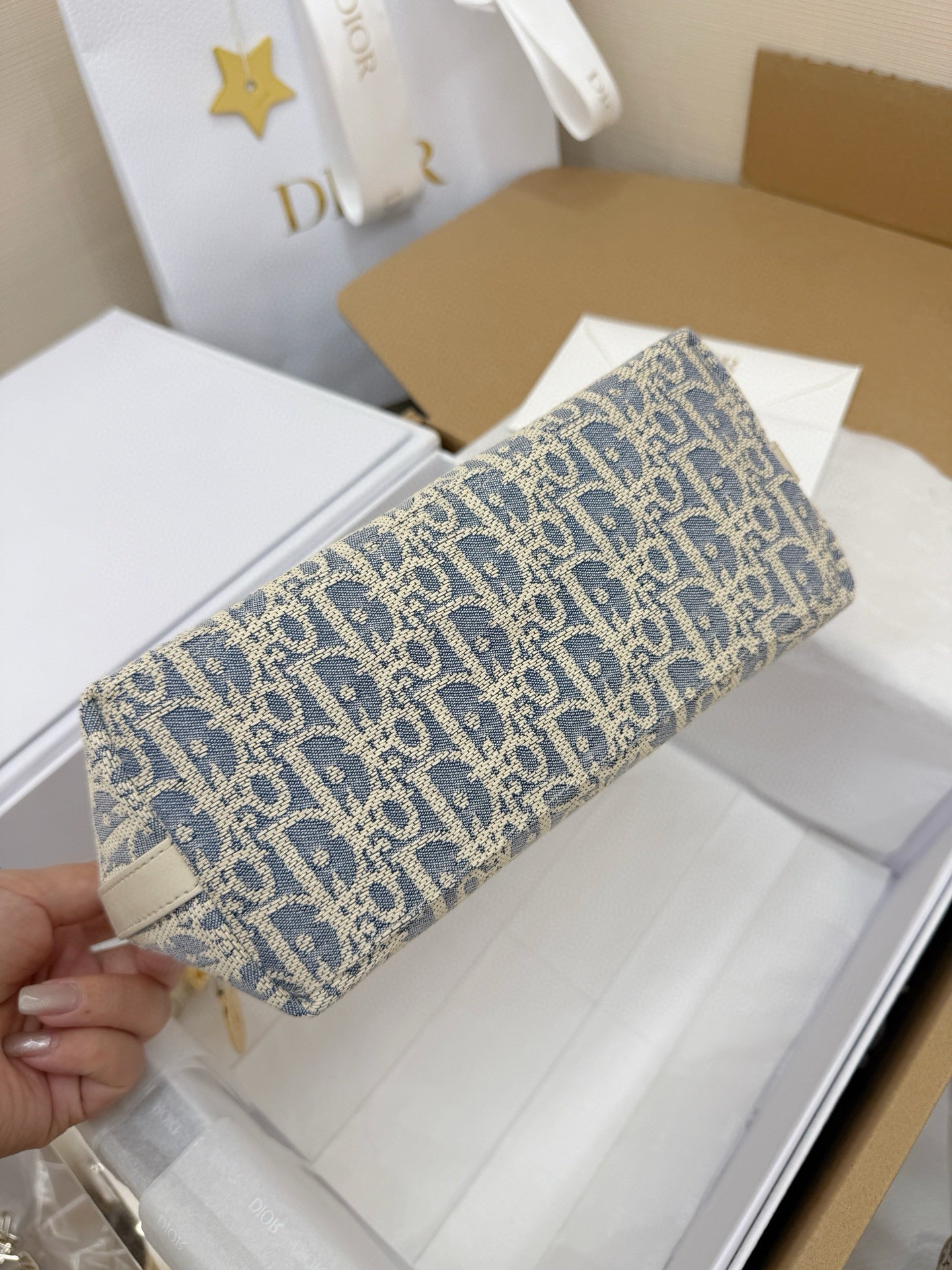 Dior Hobo Bag