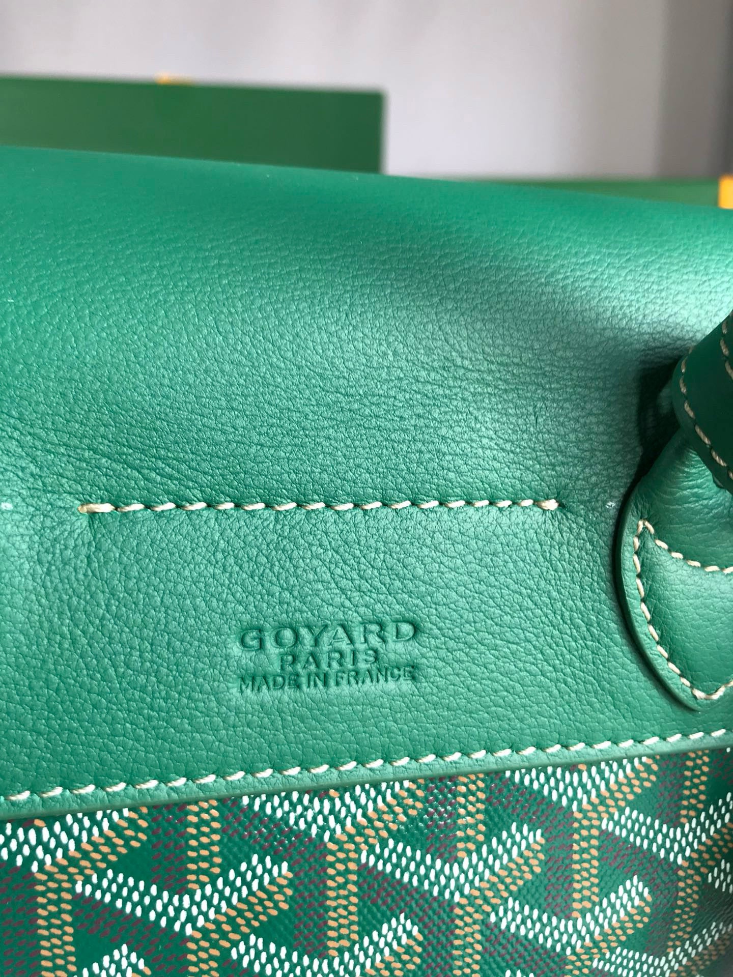 Goyard Mini Alpin Backpack
