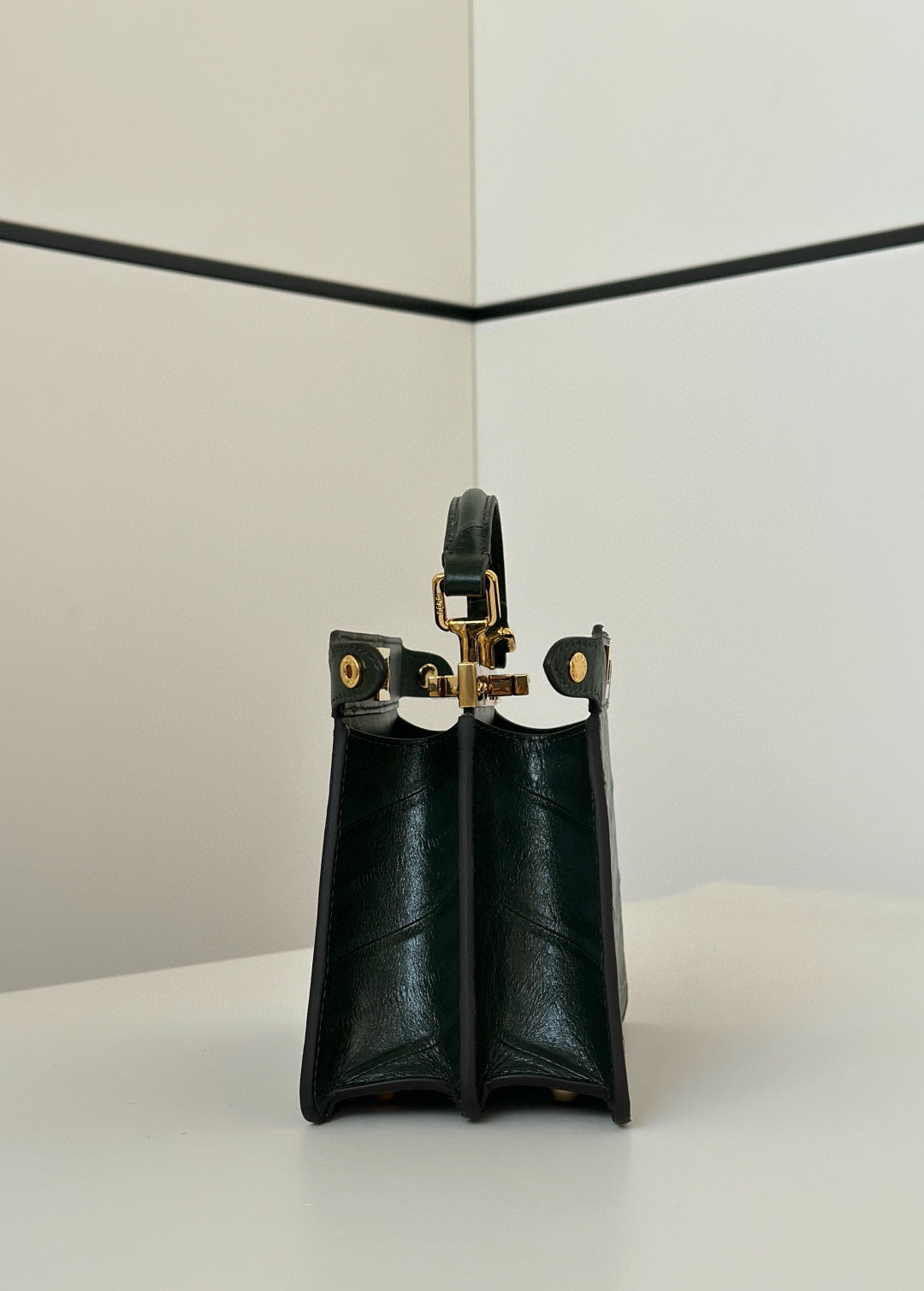 Fendi Peekaboo ISeeU Petite Bag
