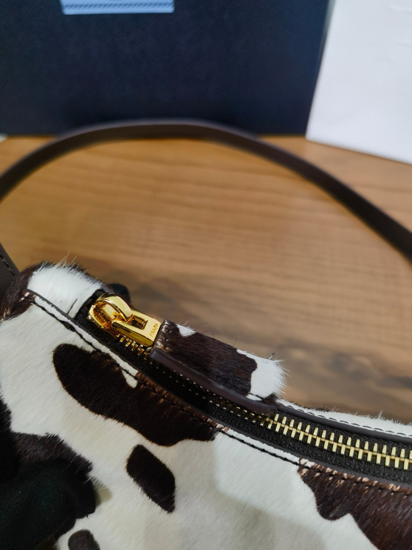 Prada Arque Moon Bag