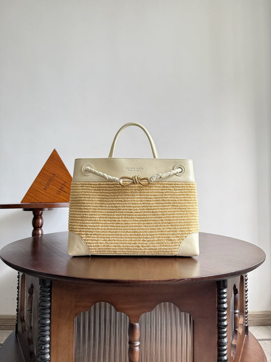 Bottega Veneta Andiamo Handbag