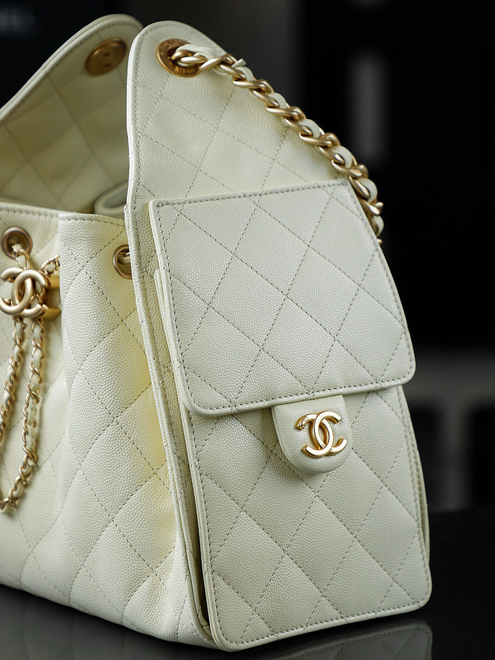 Chanel Hobo 25Bag (small)