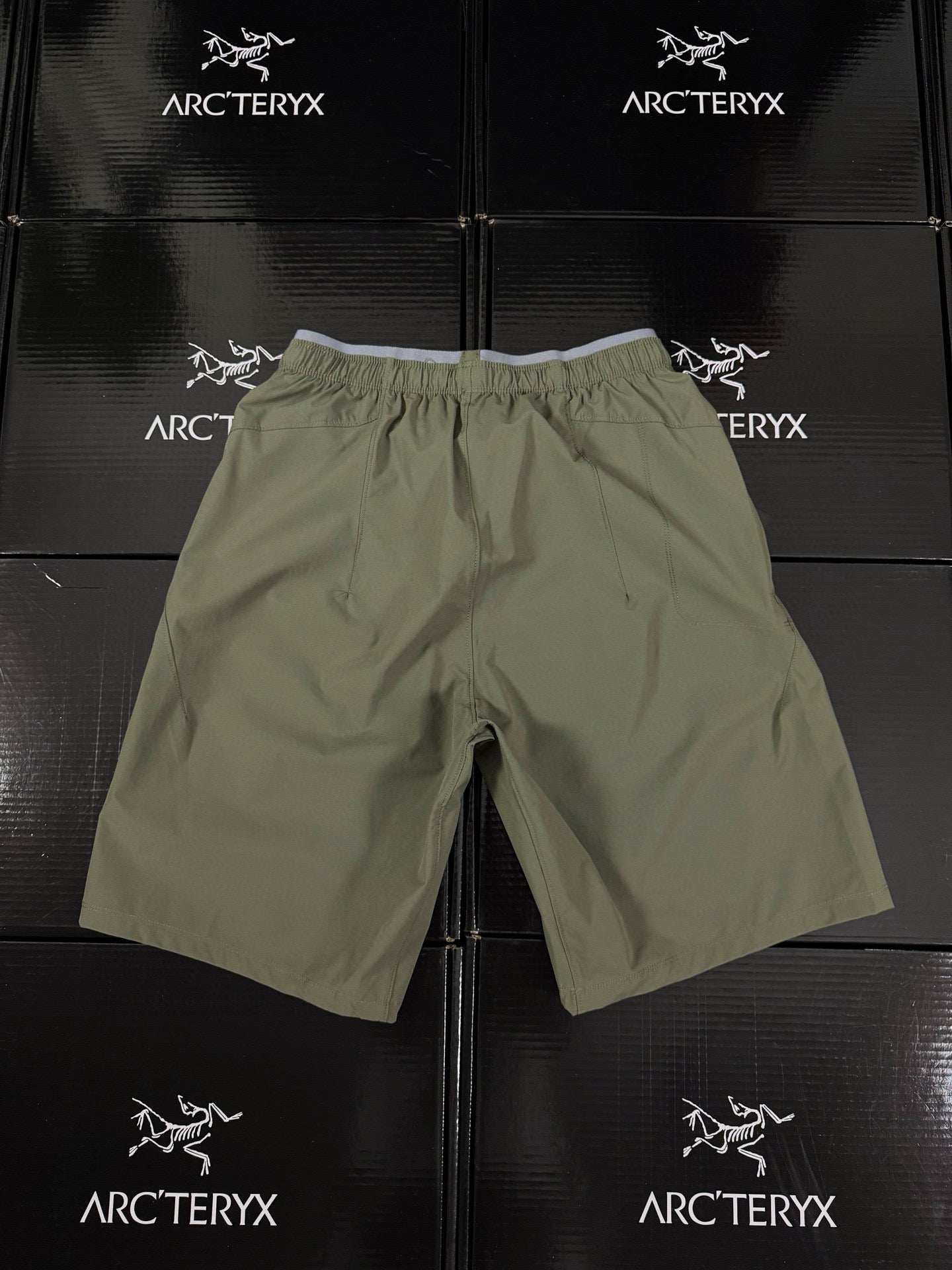 Arcteryx Short