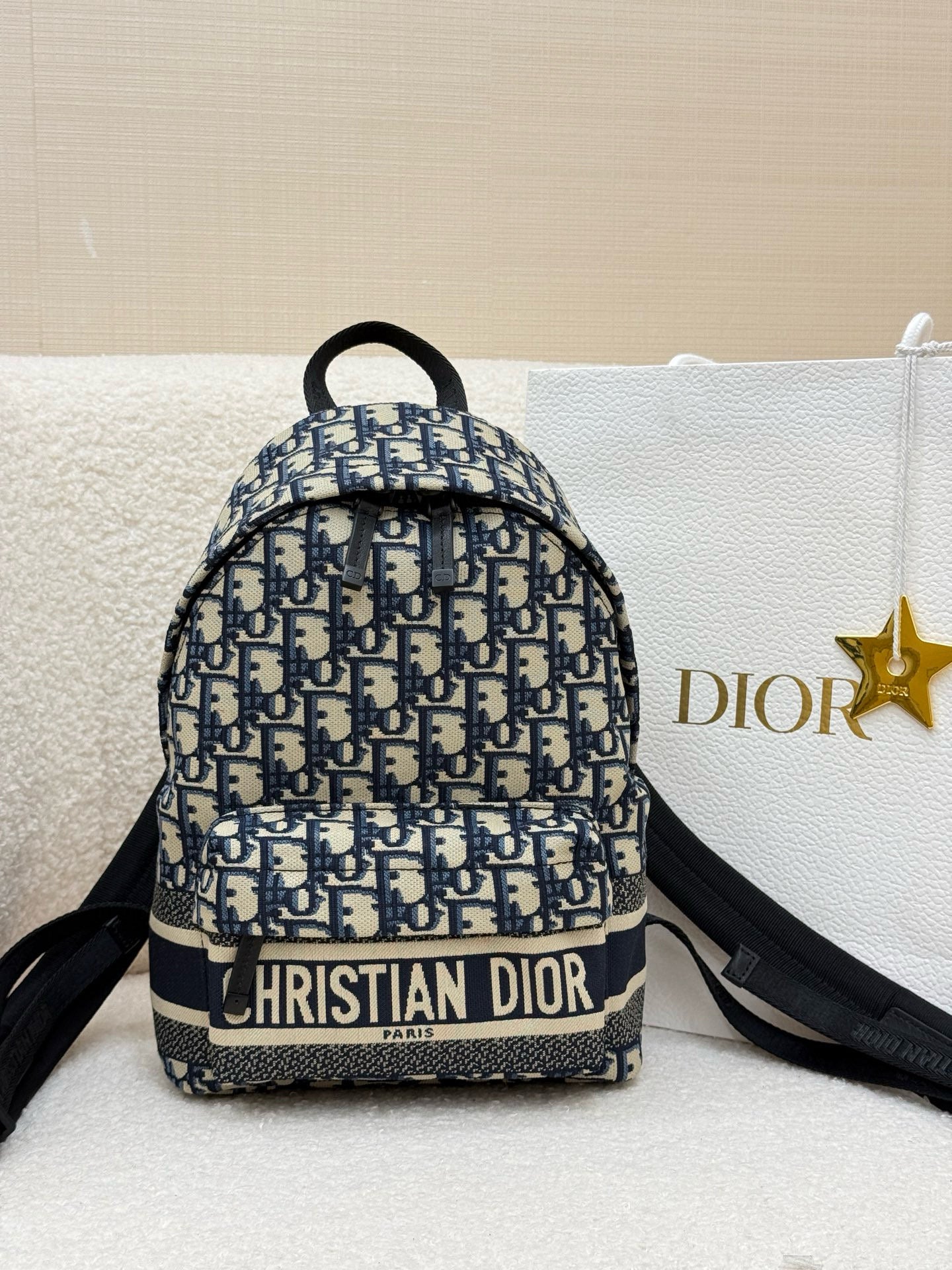 Dior Backpack