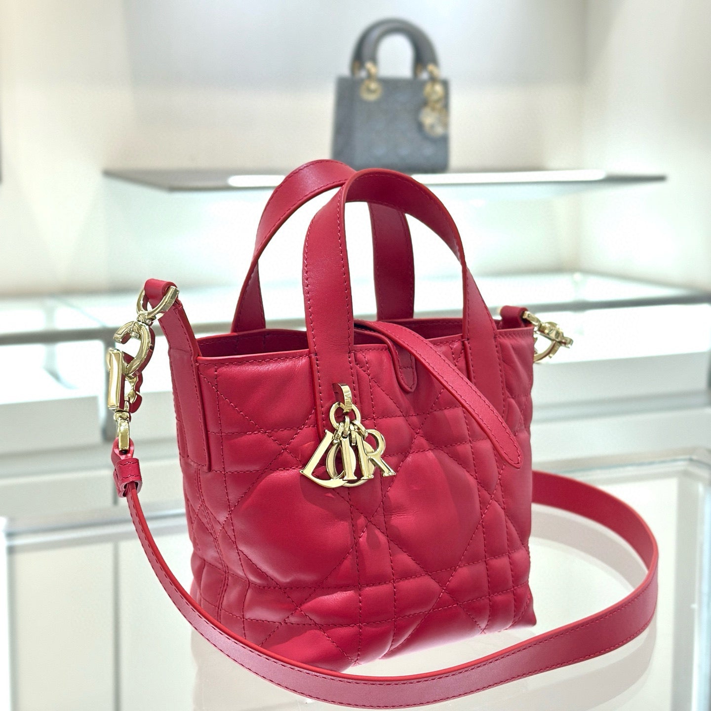 Dior Toujours Mini Bag