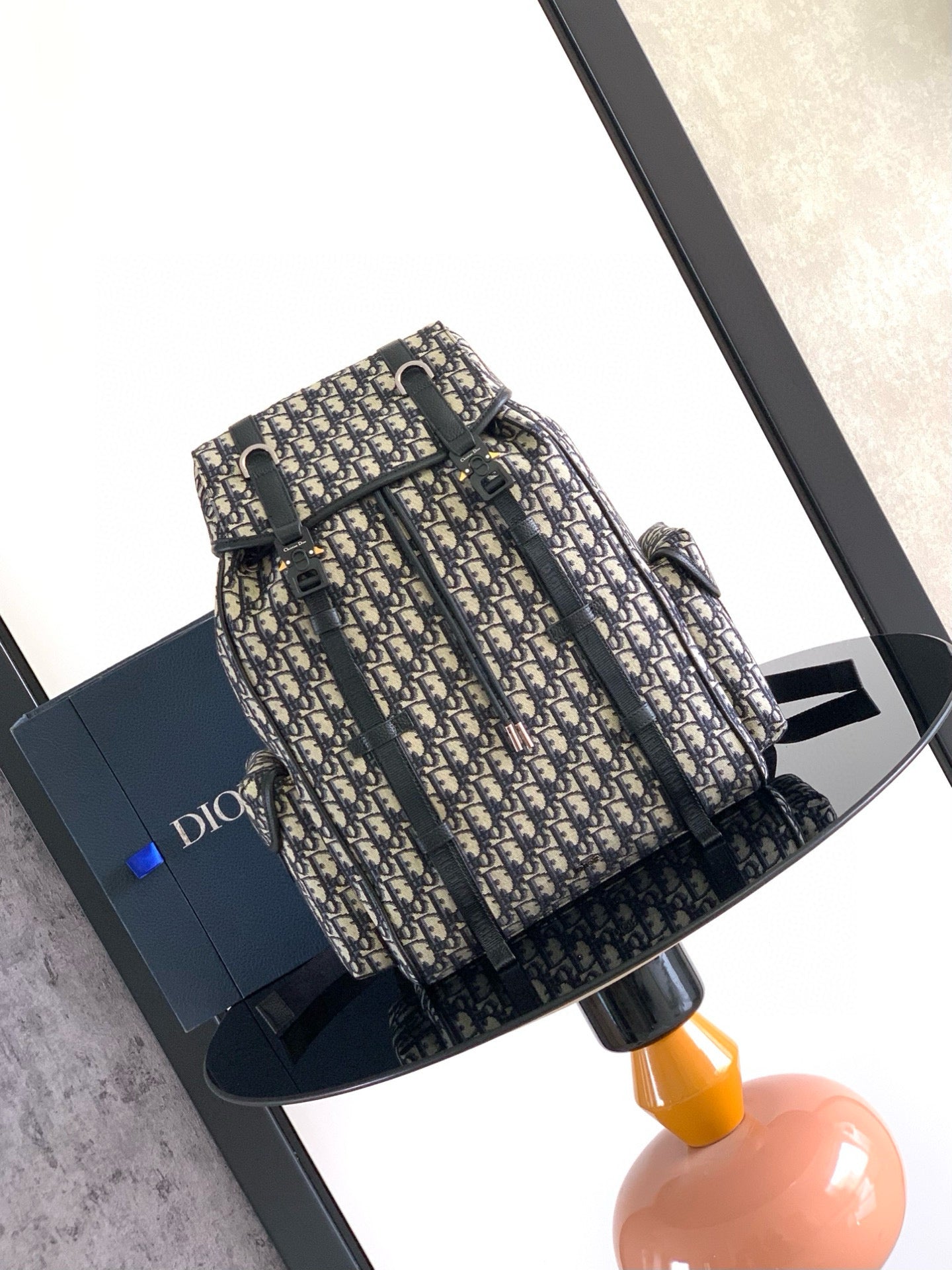 Dior Backpack