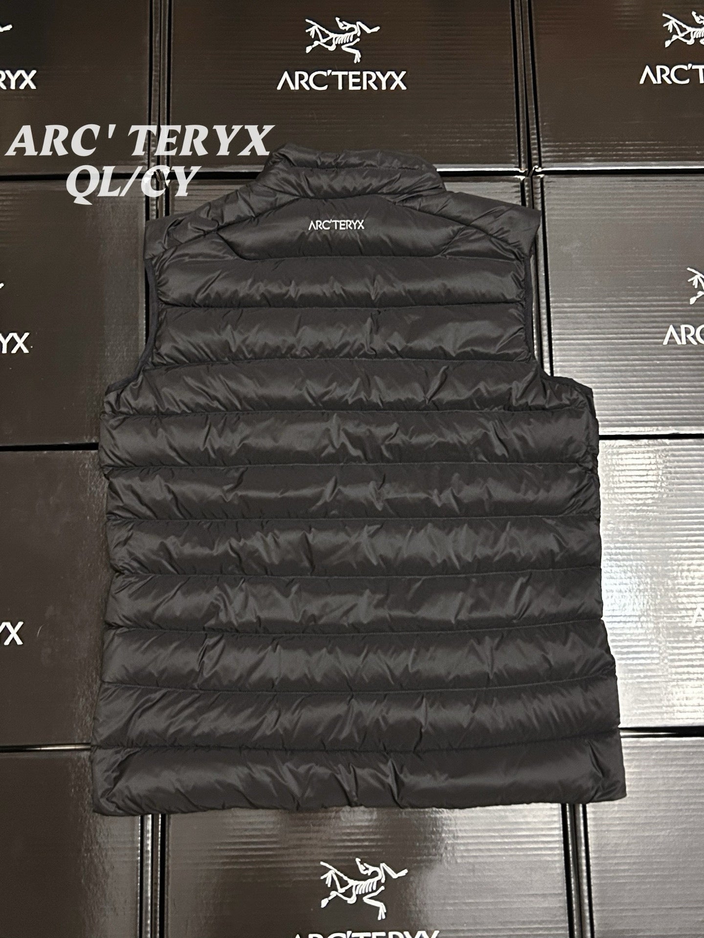 Arcteryx Down Vest