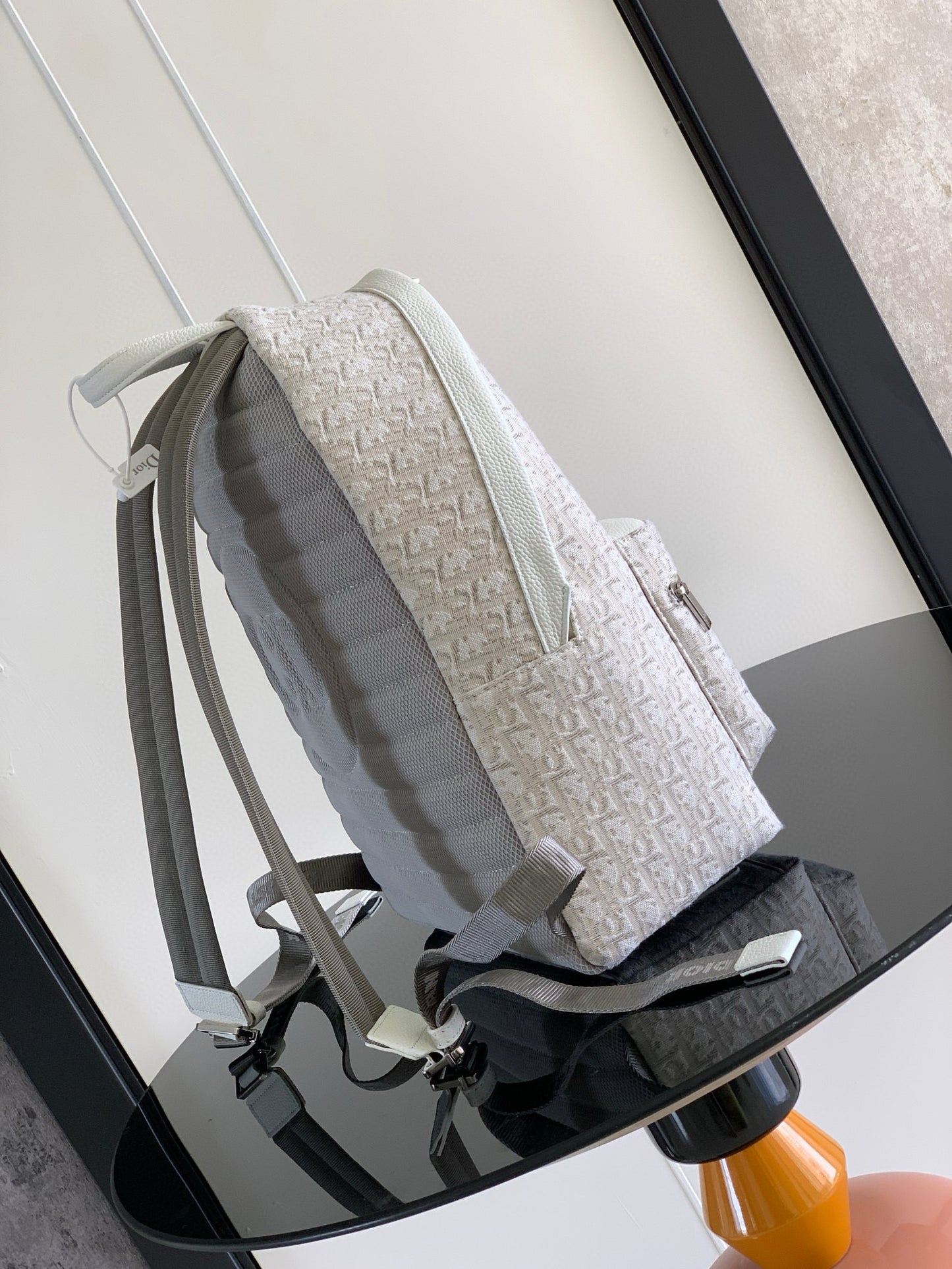 Dior Backpack