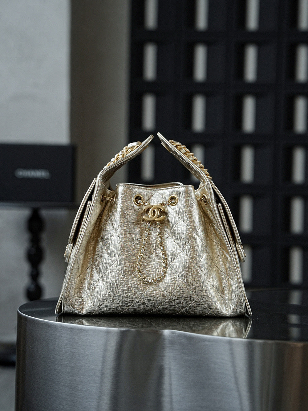 Chanel Hobo 25Bag (small)