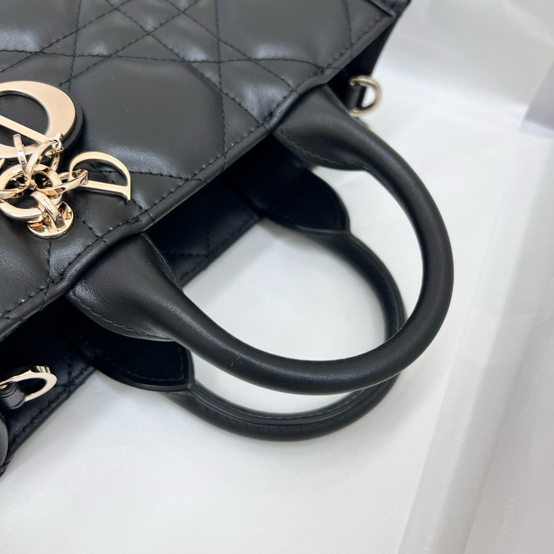 Dior Book Tote Bag