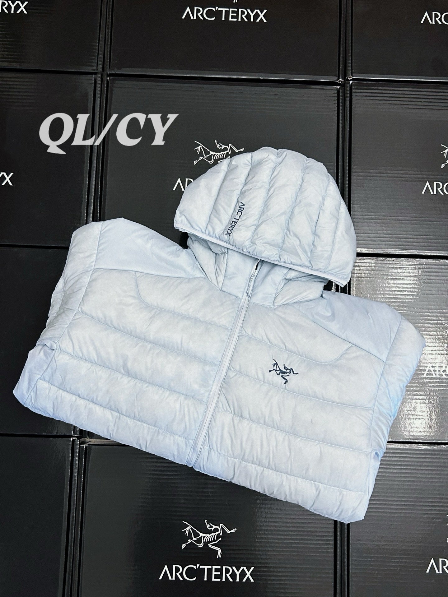 Arcteryx Down Jacket