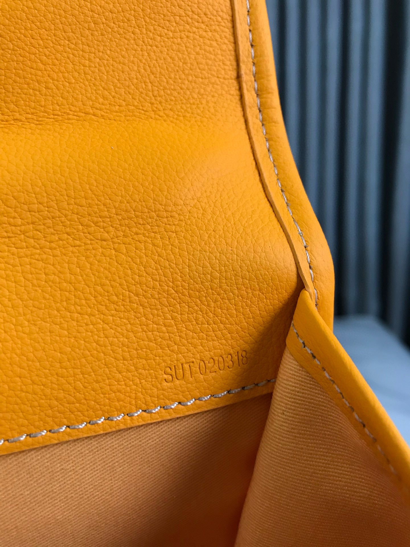 Goyard Saint Léger Backpack