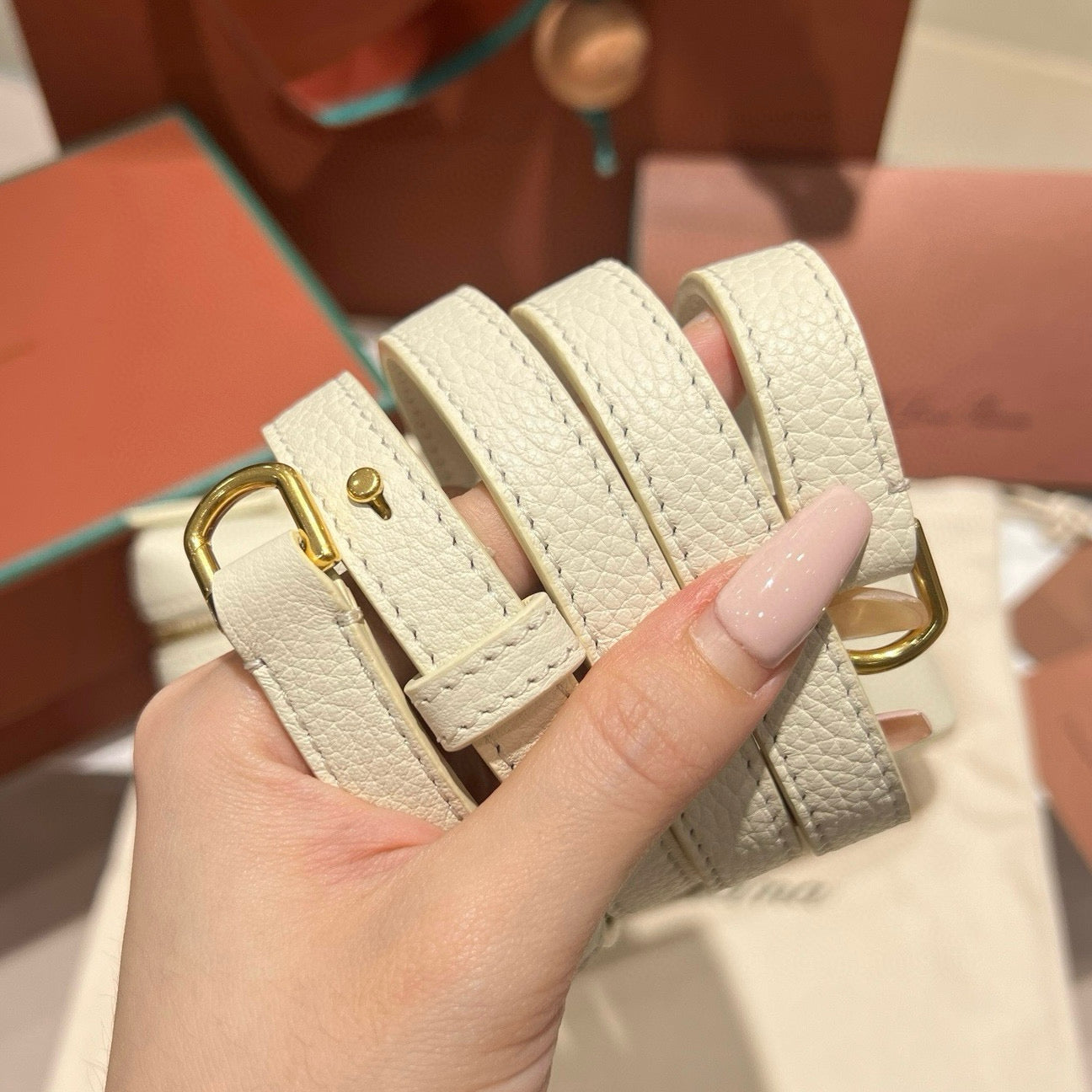 Loro Piana 19 Classic Case Bag