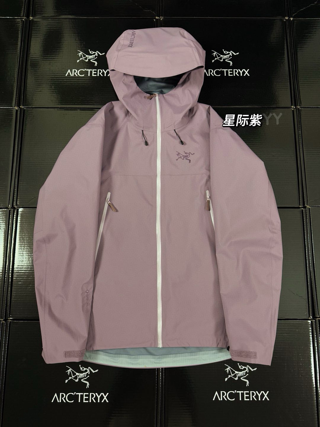 Arcteryx Jacket