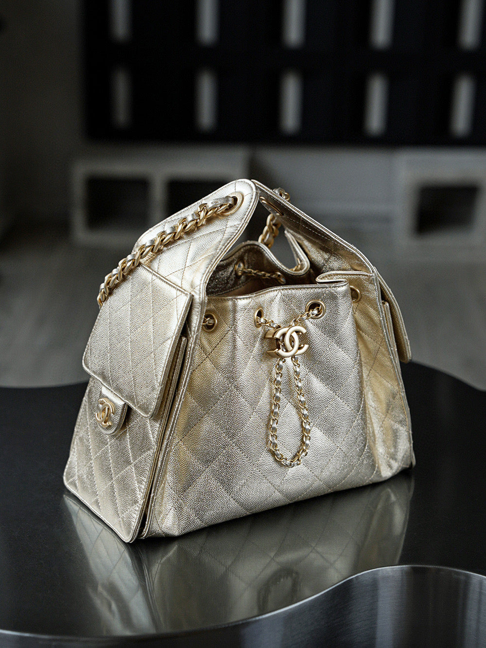 Chanel Hobo 25Bag (small)
