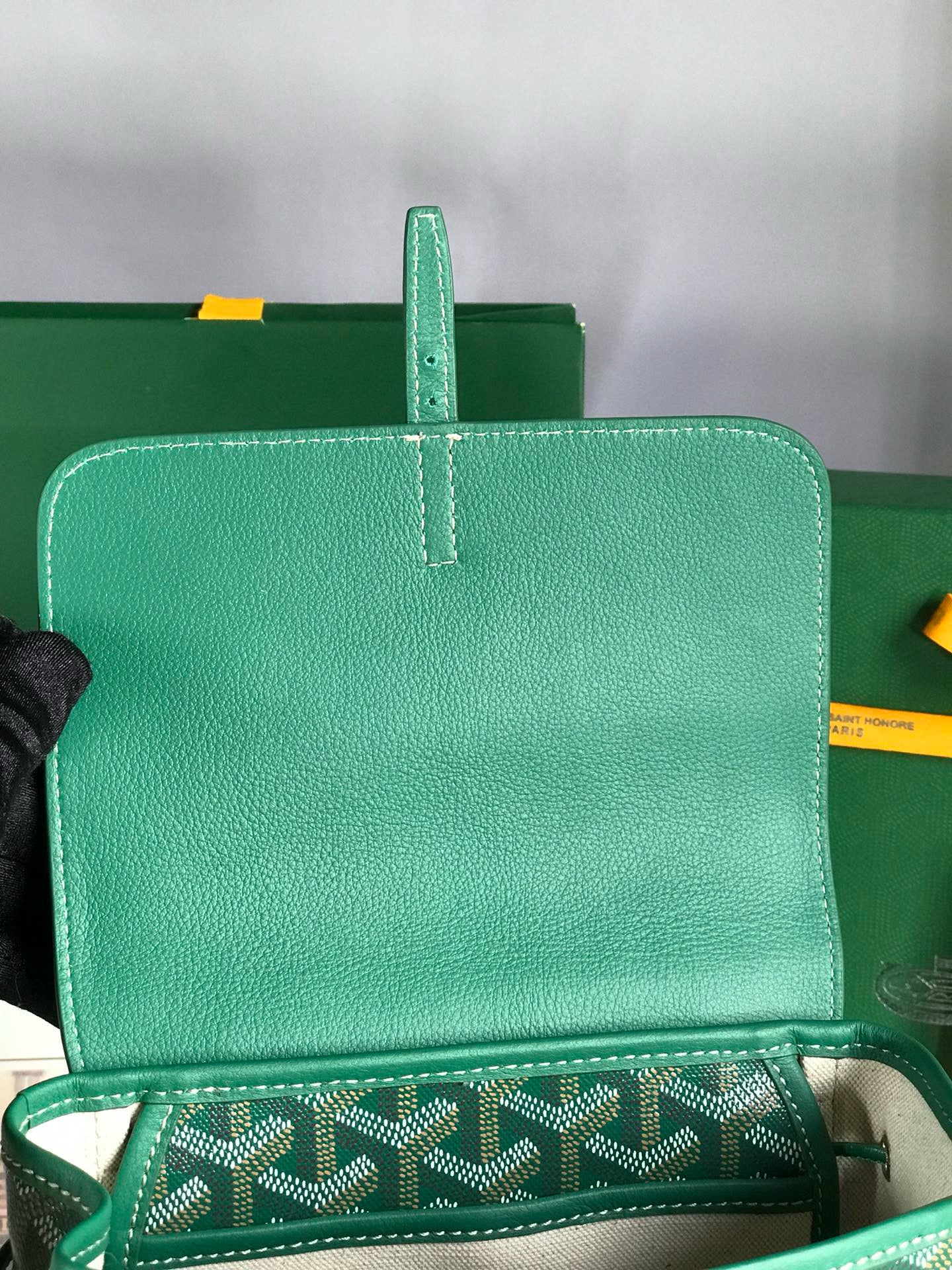 Goyard Mini Alpin Backpack