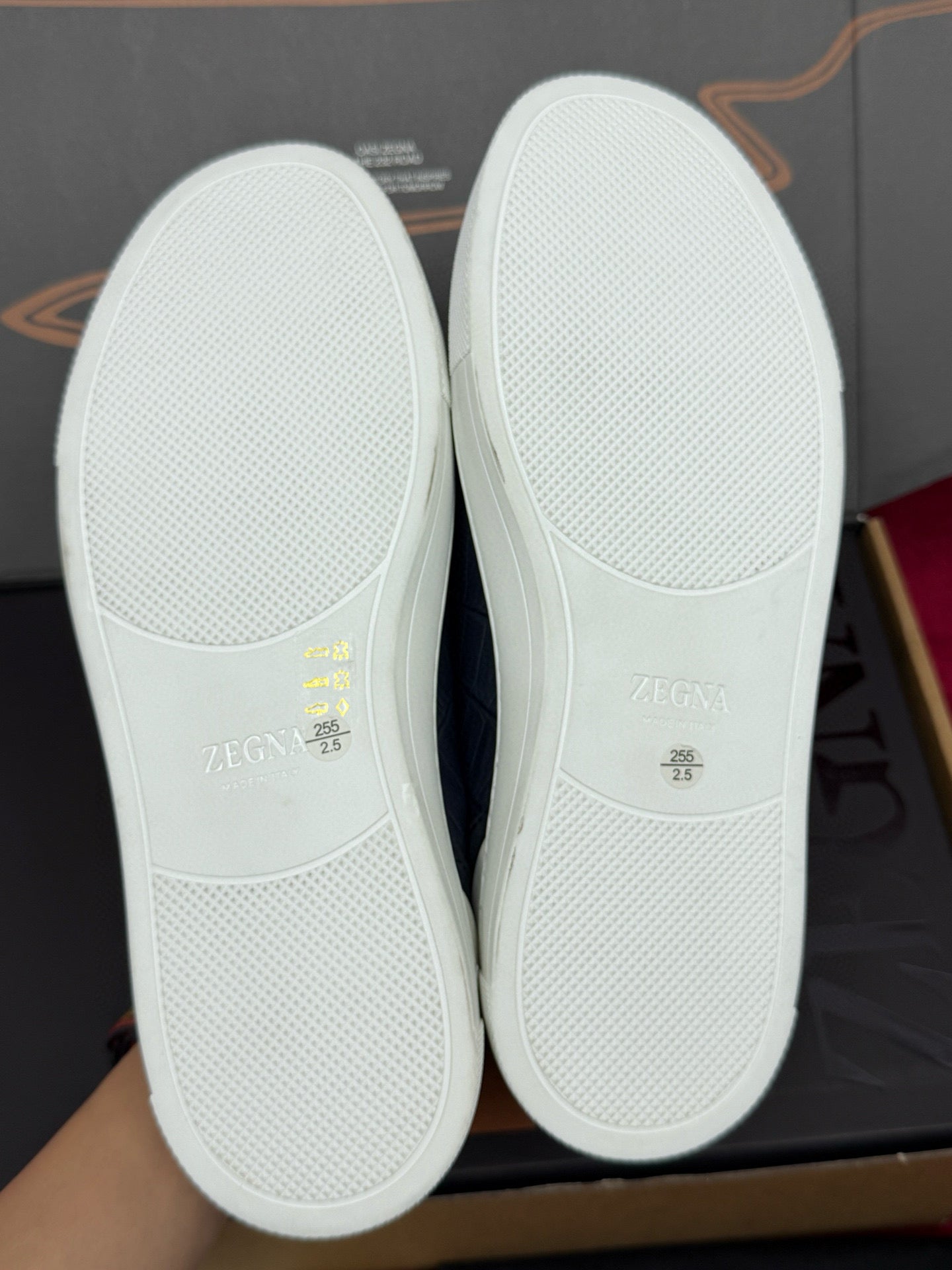 Zegna Alligator Sneakers