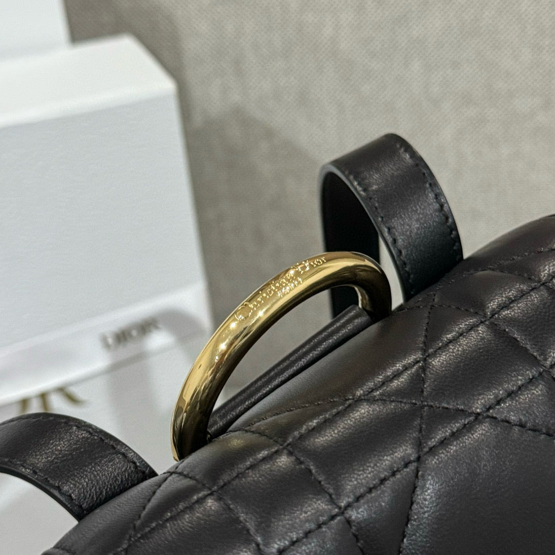 Dior Backpack