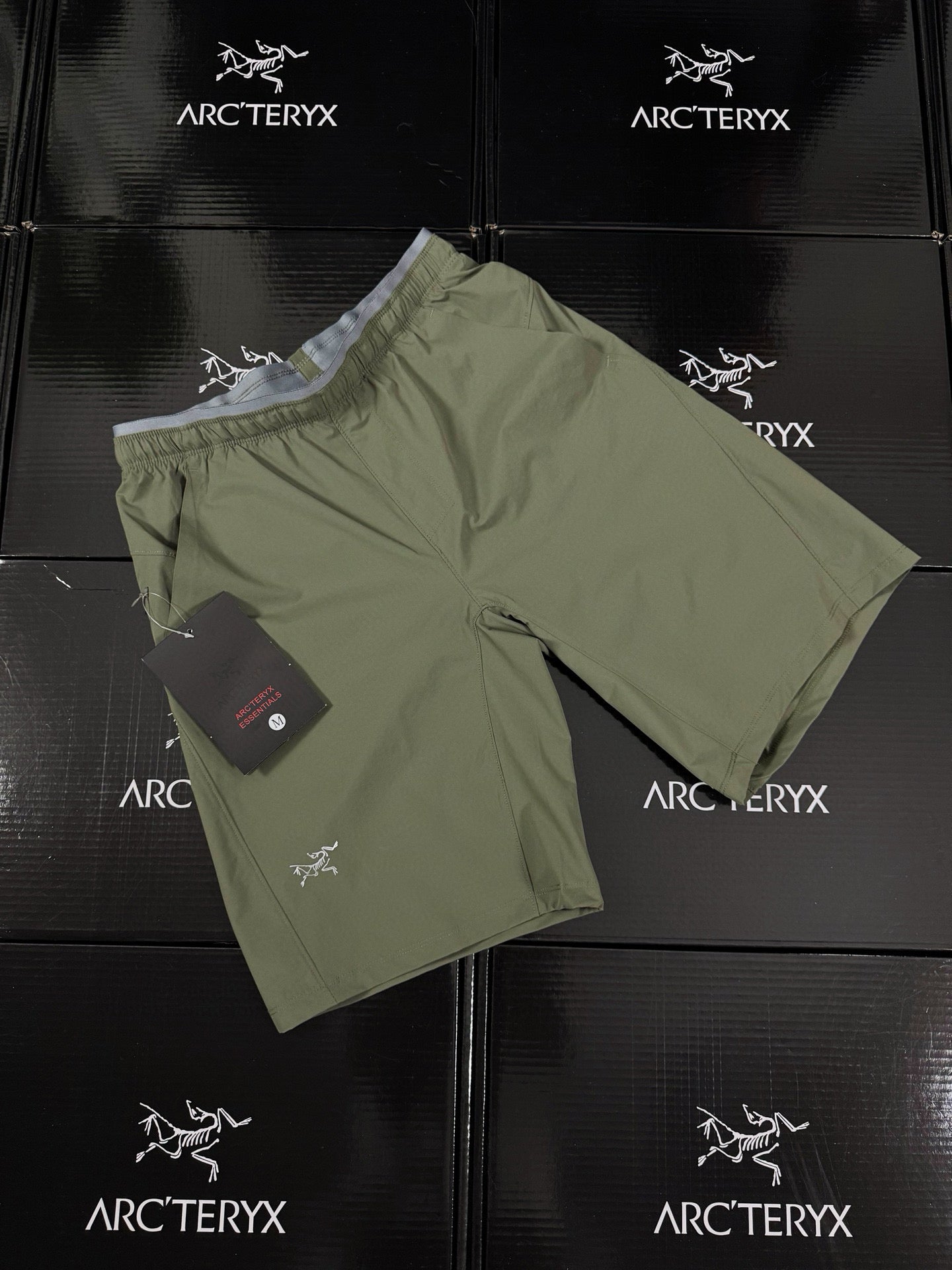 Arcteryx Short