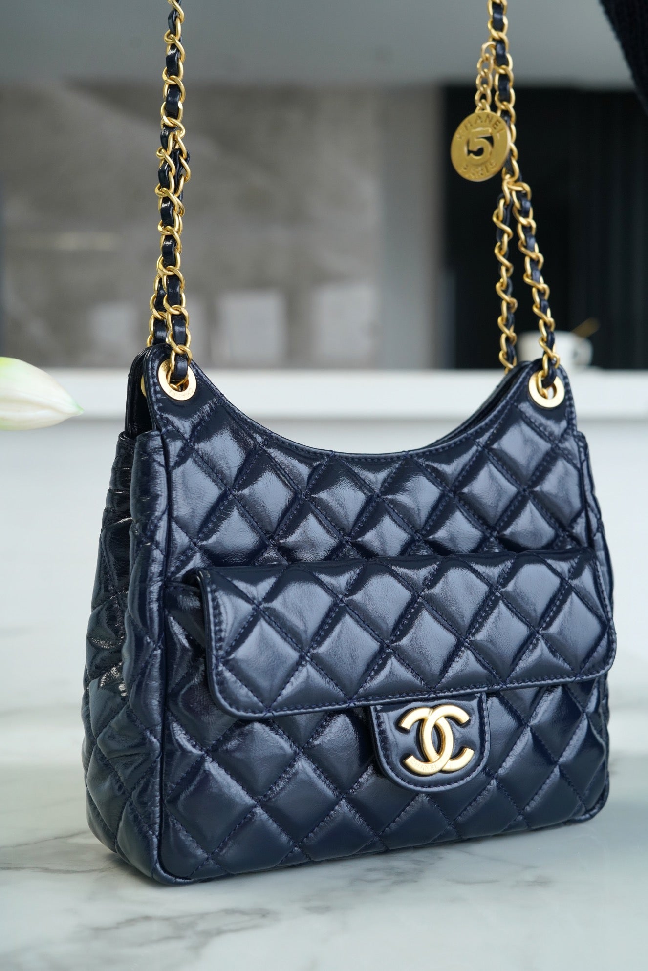 Chanel 23C Hobo Bag