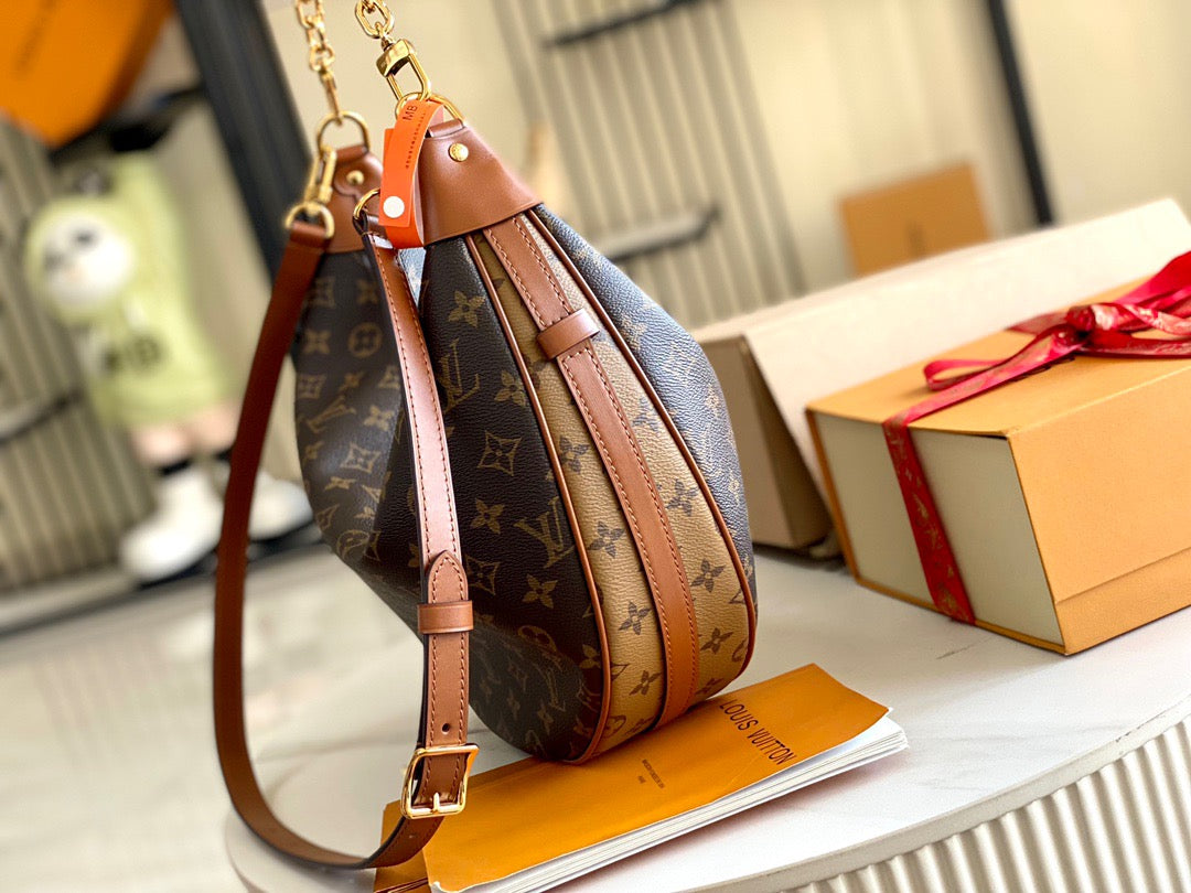 LV Loop Hobo Bag