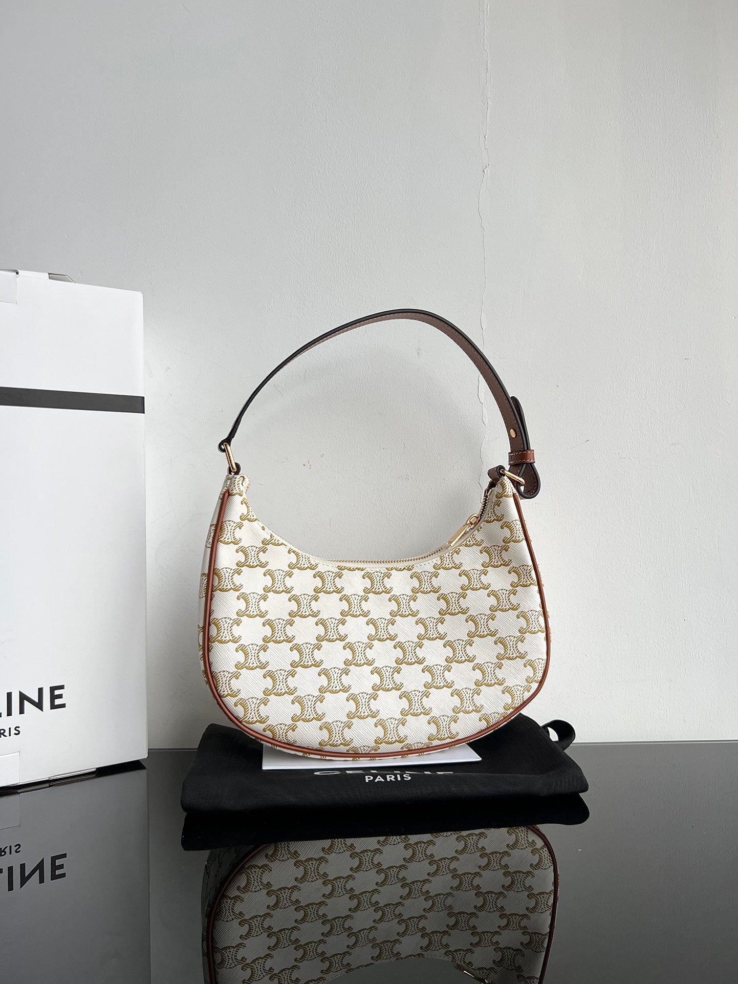 Celine Triomphe Hobo