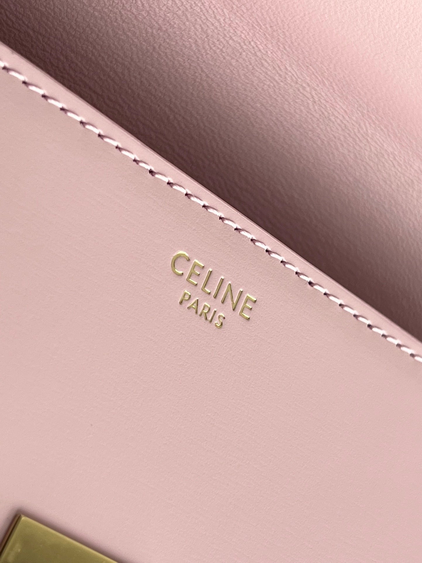 Celine Triomphe Hobo