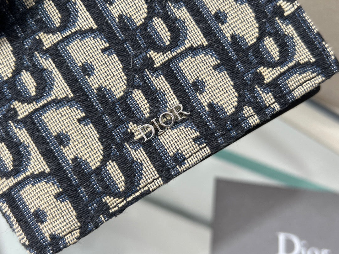 Cartera Dior