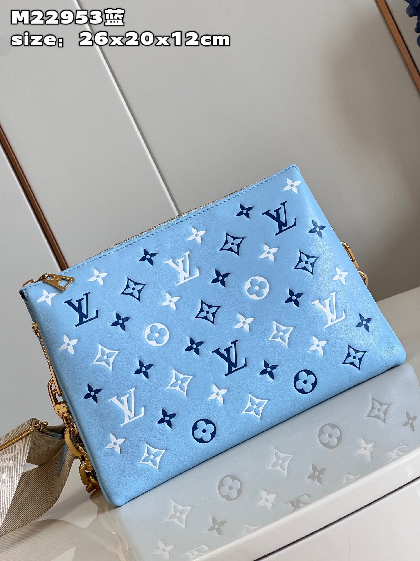 LV Coussin BB - M22953