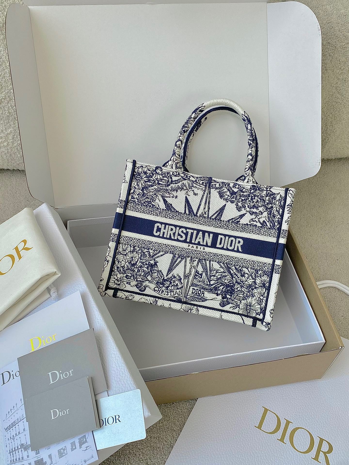 Dior BookTote (pequeño)