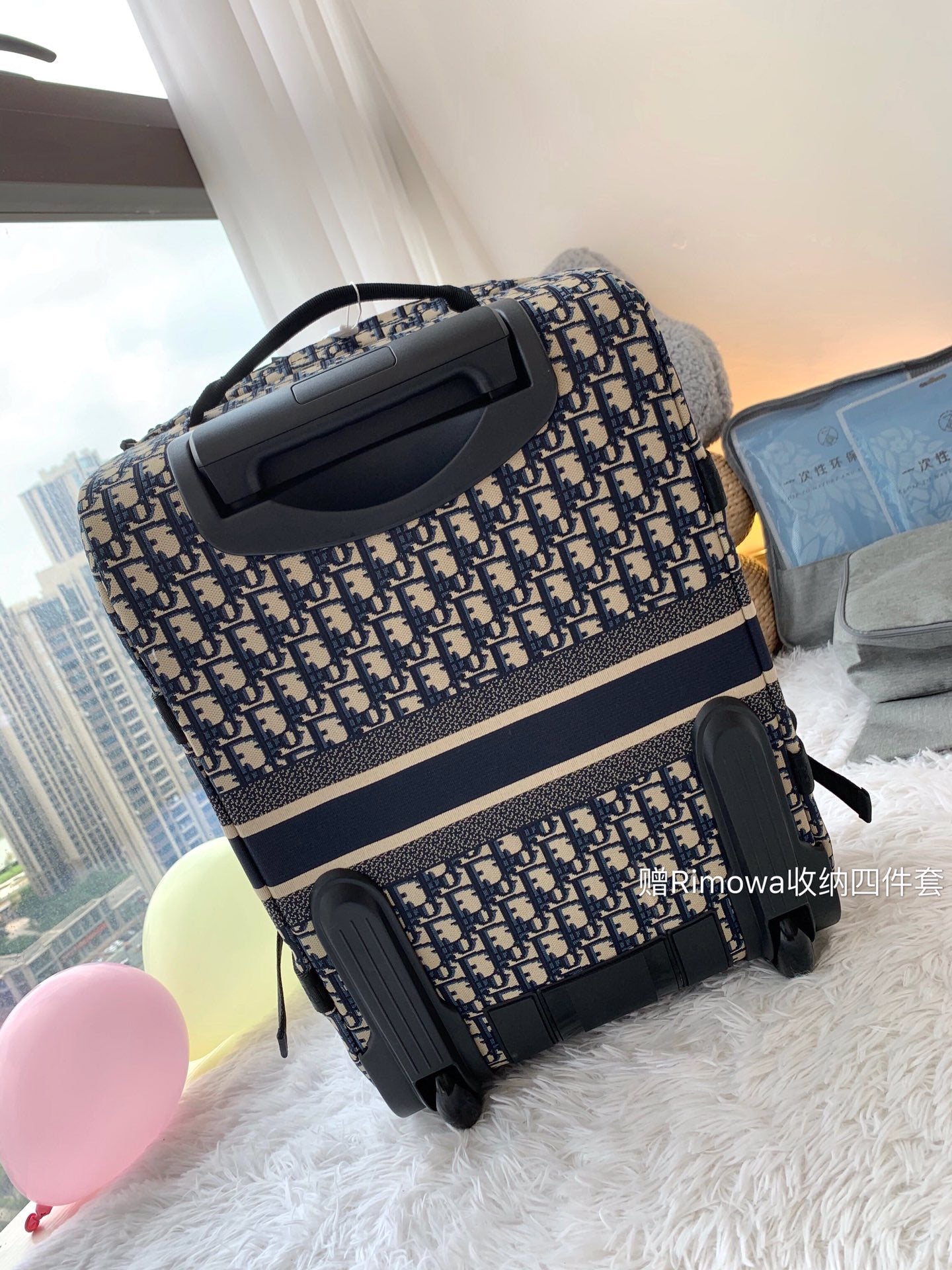 Christian Dior Luggage