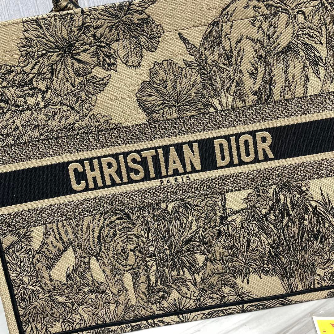 Dior BookTote