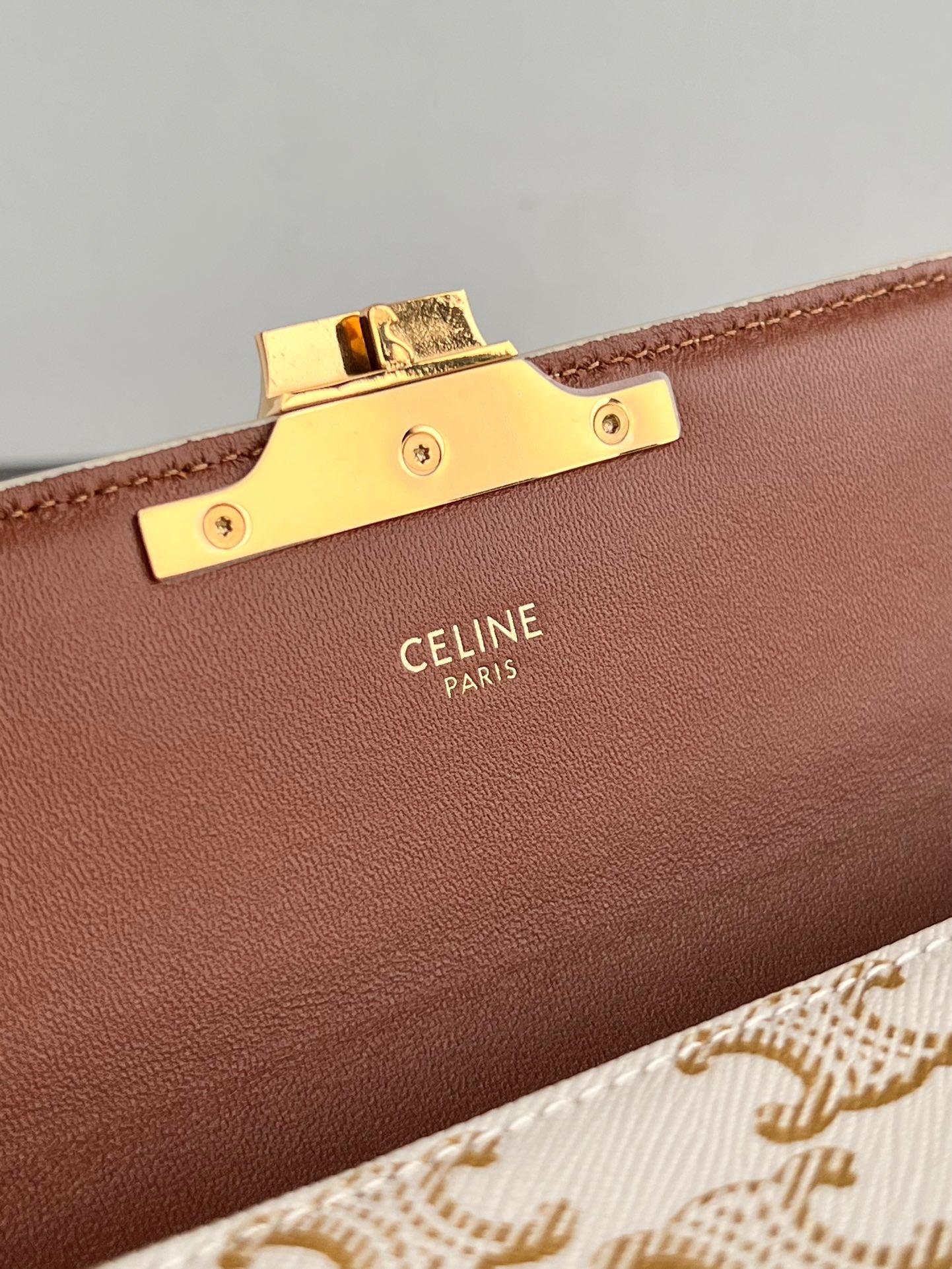 Céline Triomphe Hobo