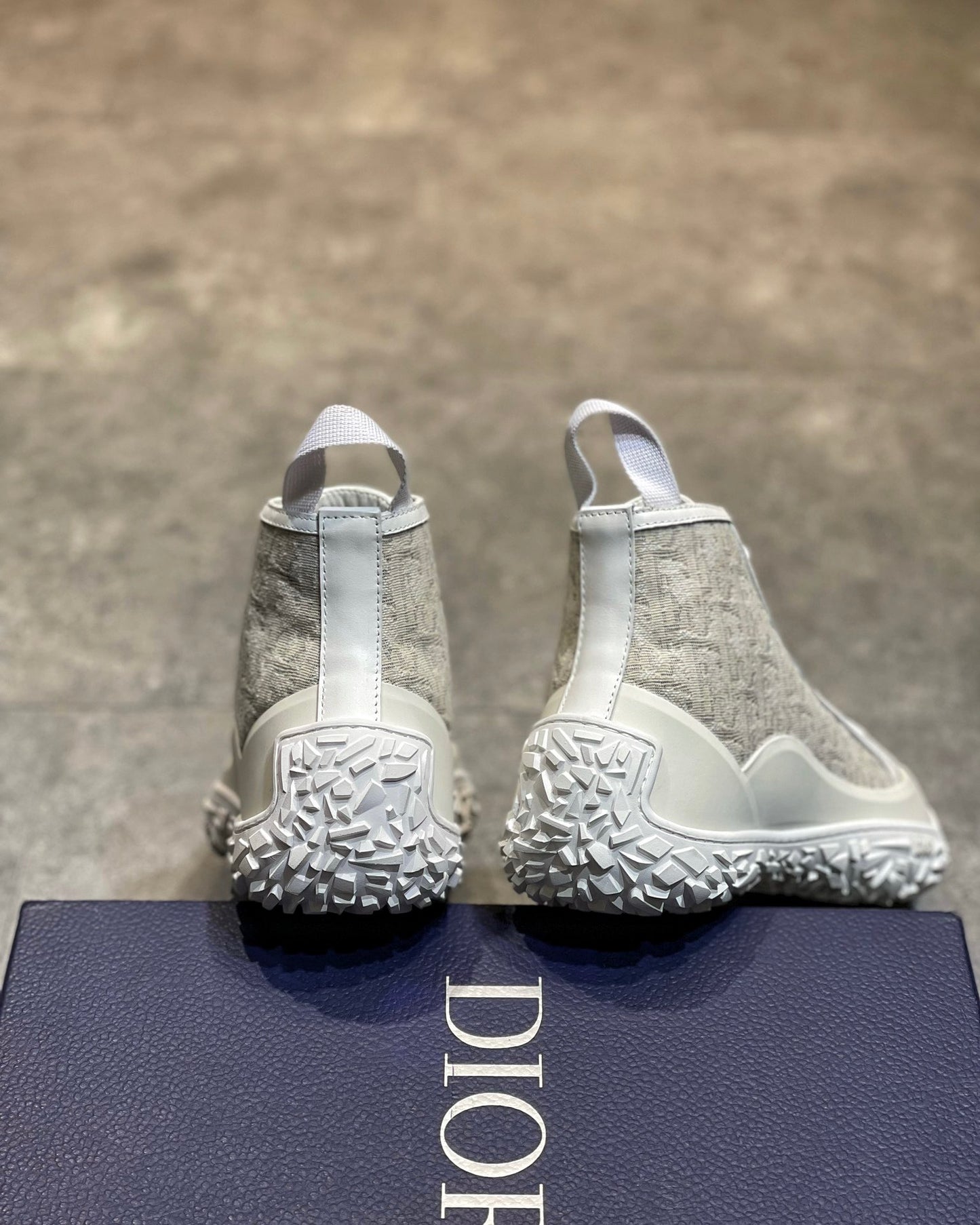 Dior Sneakers