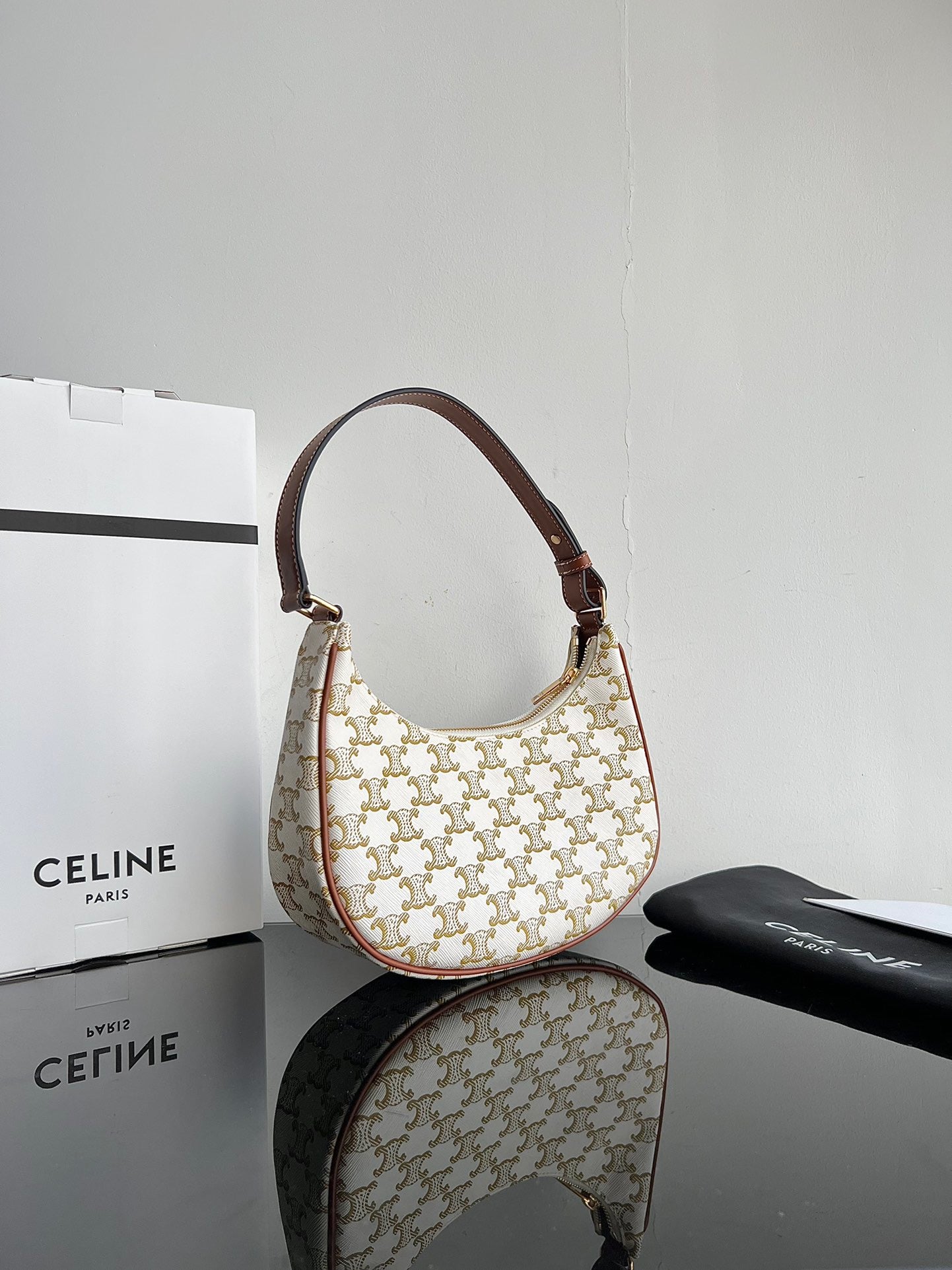 Celine Triomphe Hobo