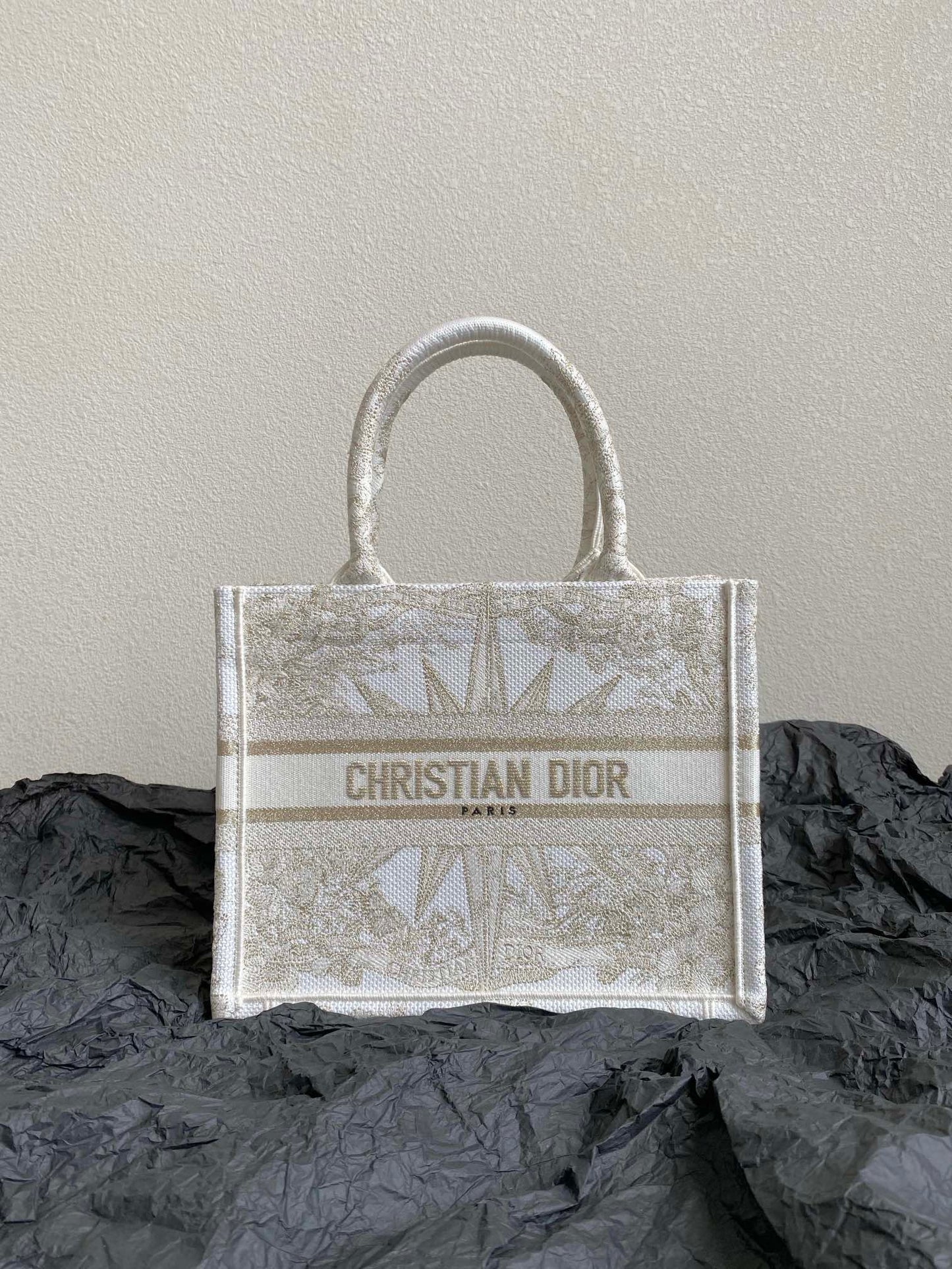 Dior BookTote (pequeño)